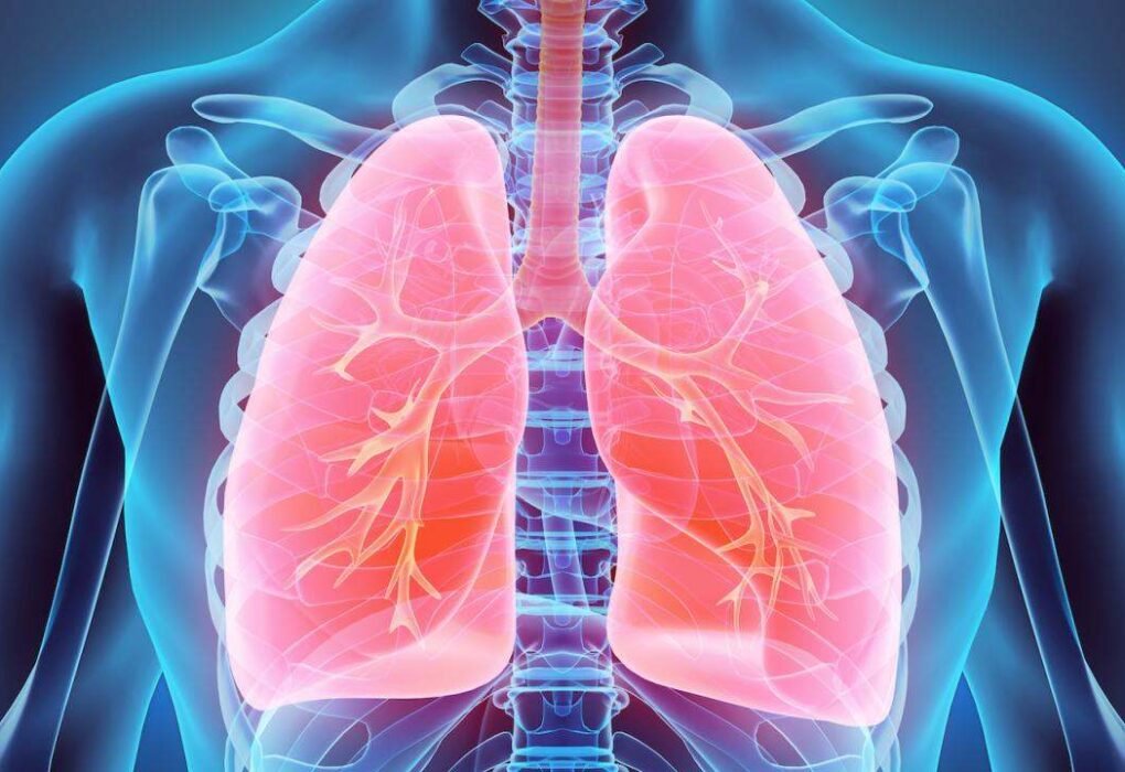 Exploring Lung Health: Insights from Respiratory Specialists Lung Health